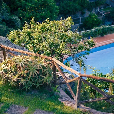 Cernia Isola Botanica Hotel