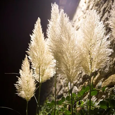 Hotel Cernia Isola Botanica 3*