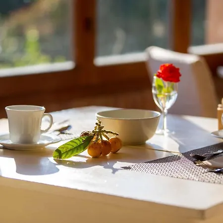 Cernia Isola Botanica SantʼAndrea