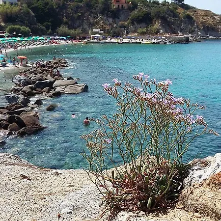 Cernia Isola Botanica Sant'Andrea (Isola d'Elba)