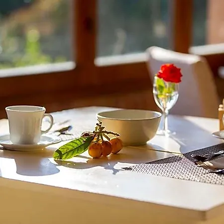 Cernia Isola Botanica Otel 3*