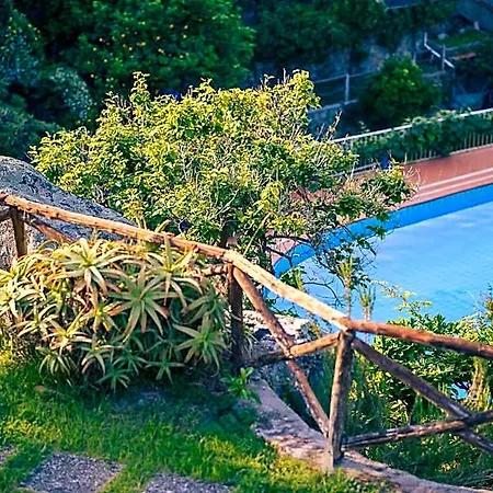 Hotel Cernia Isola Botanica 3*