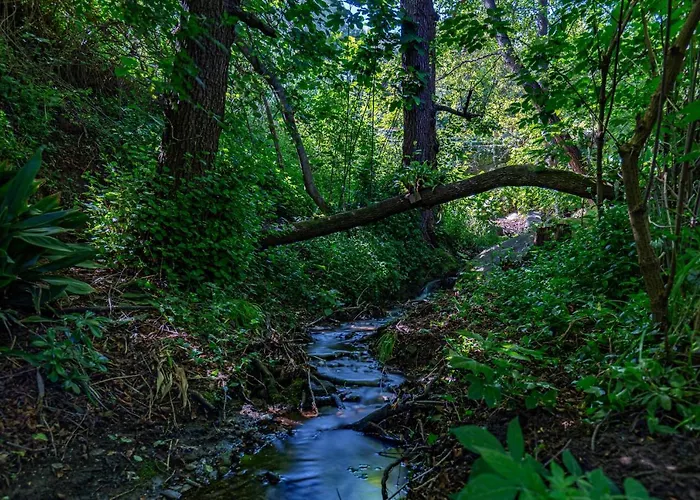 Cernia Isola Botanica SantʼAndrea