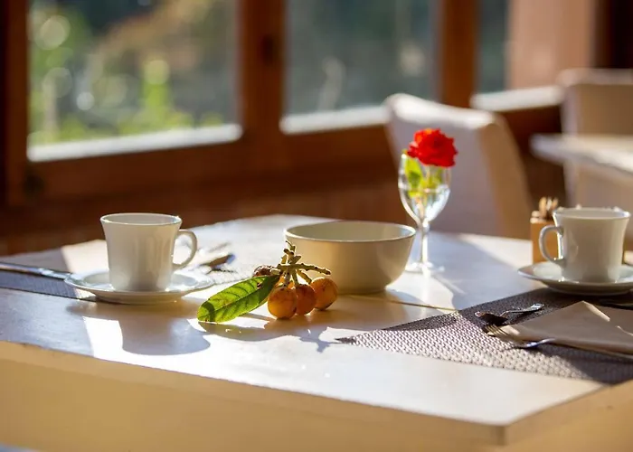 Cernia Isola Botanica SantʼAndrea