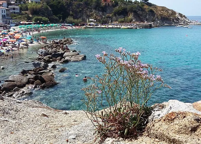 Cernia Isola Botanica SantʼAndrea
